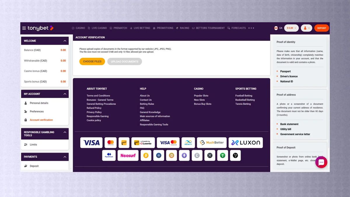 TonyBet: screenshot of the casino site