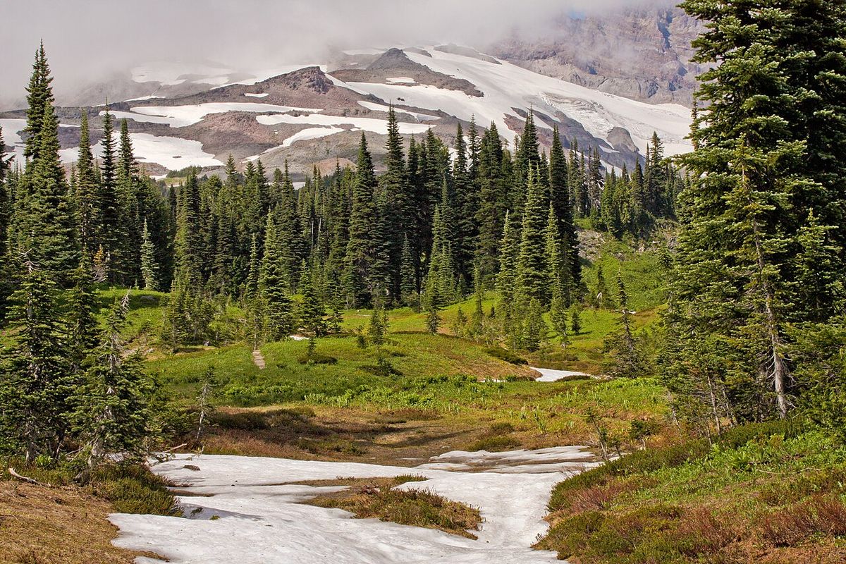 Subalpine Fir forest; McClure Rock (left center, just above forested slopes; 7385 feet)
