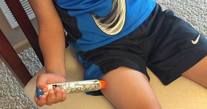 Back-to-School Allergy Challenges: How Canadian Families Handle Food Restrictions