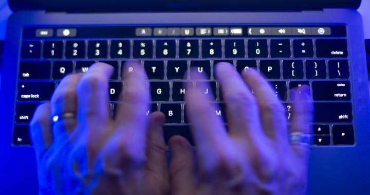 Canada's privacy watchdog investigates massive driver's licence data breach affecting millions