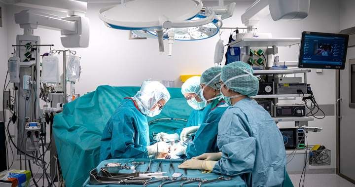Canadian Doctors Advocate Fallopian Tube Removal to Reduce Ovarian Cancer Risk