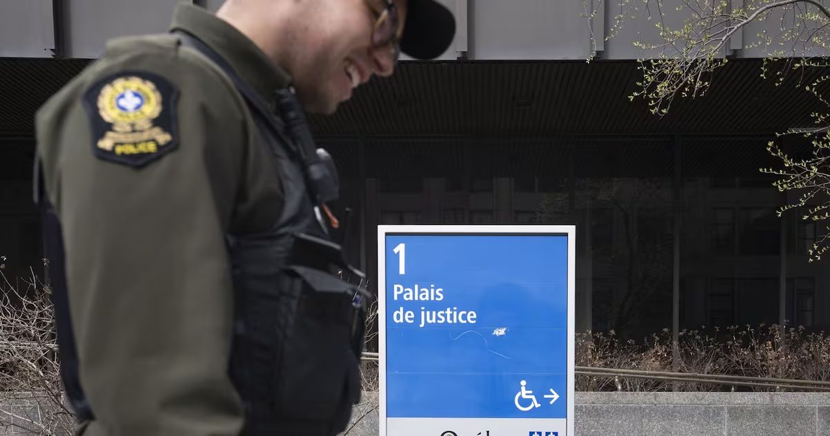 Lawyers ask court to suspend Montreal bylaw banning insults against city employees