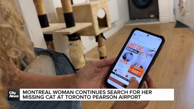 Montreal woman reunited with cat lost for 16 days at Toronto Pearson Airport
