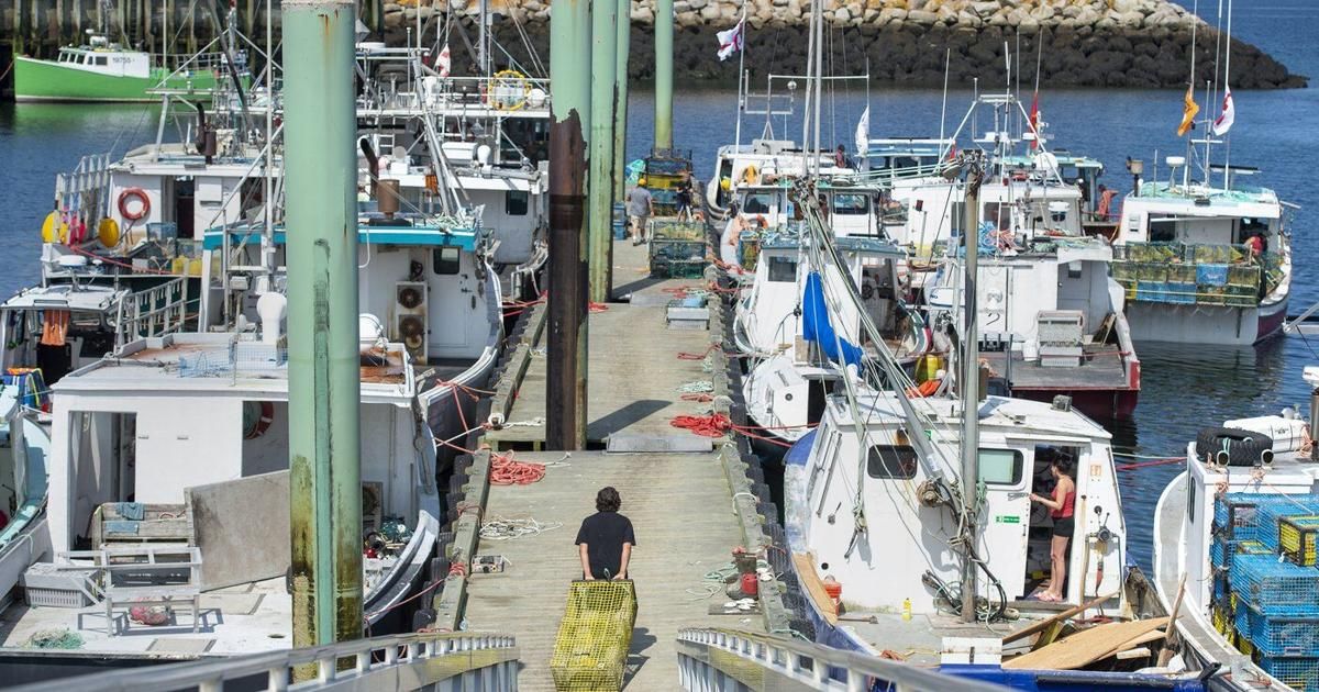 N.S. seafood processor appeals court decision in $10M lobster lawsuit, citing lack of specifics