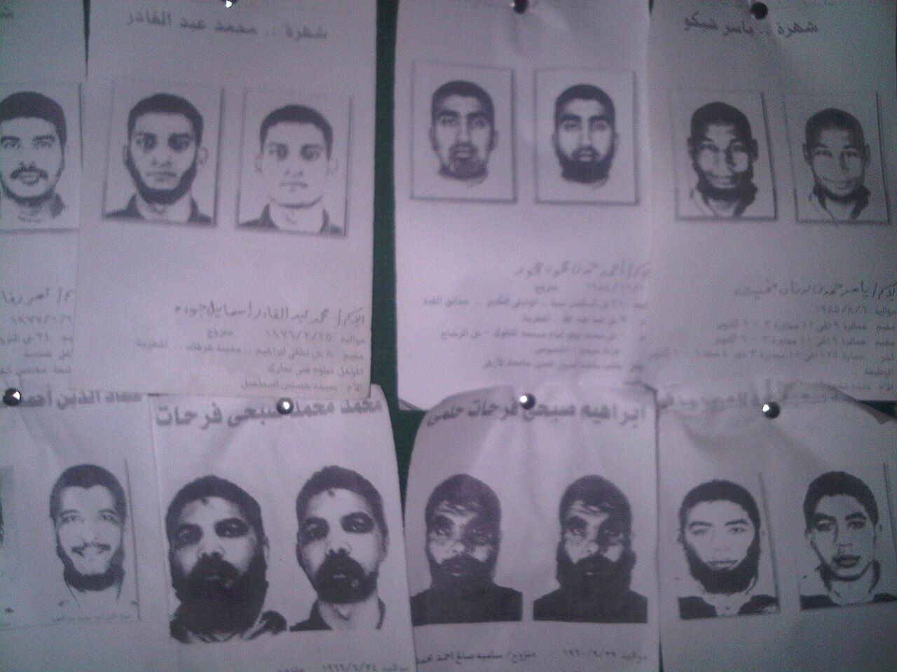 Report alleges Muslim Brotherhood infiltrating Canadian institutions, fomenting antisemitism