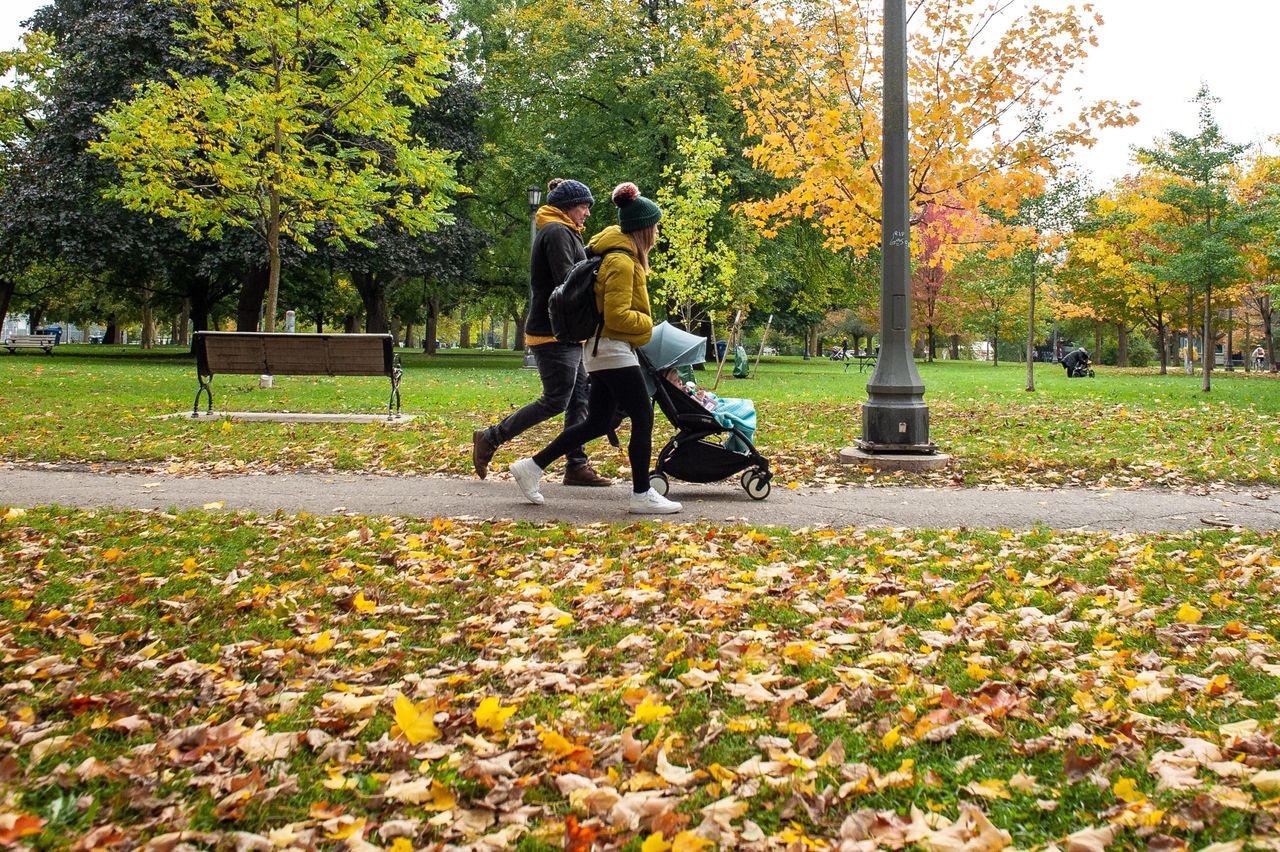Warmer, drier fall expected across Canada with potential long-term impacts, meteorologists warn