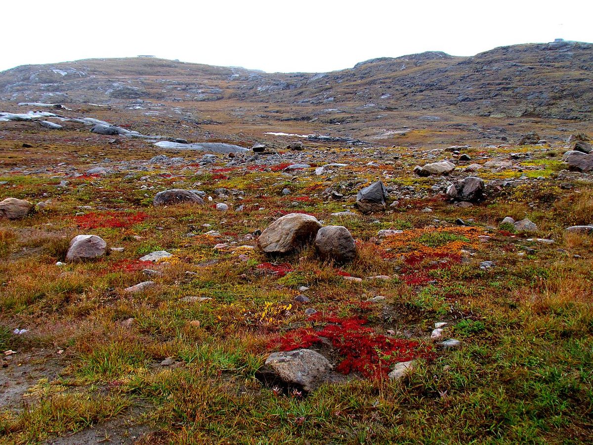 Nunavut tundra