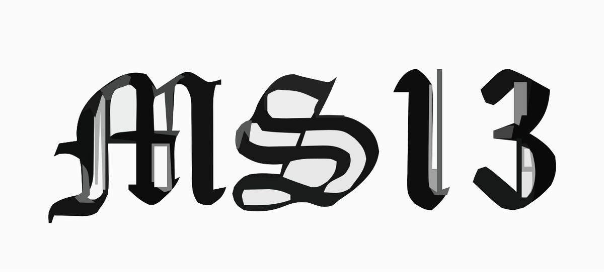 MS-13