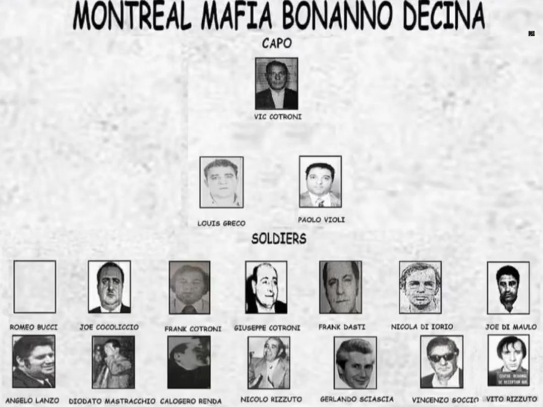 Cotroni crime family