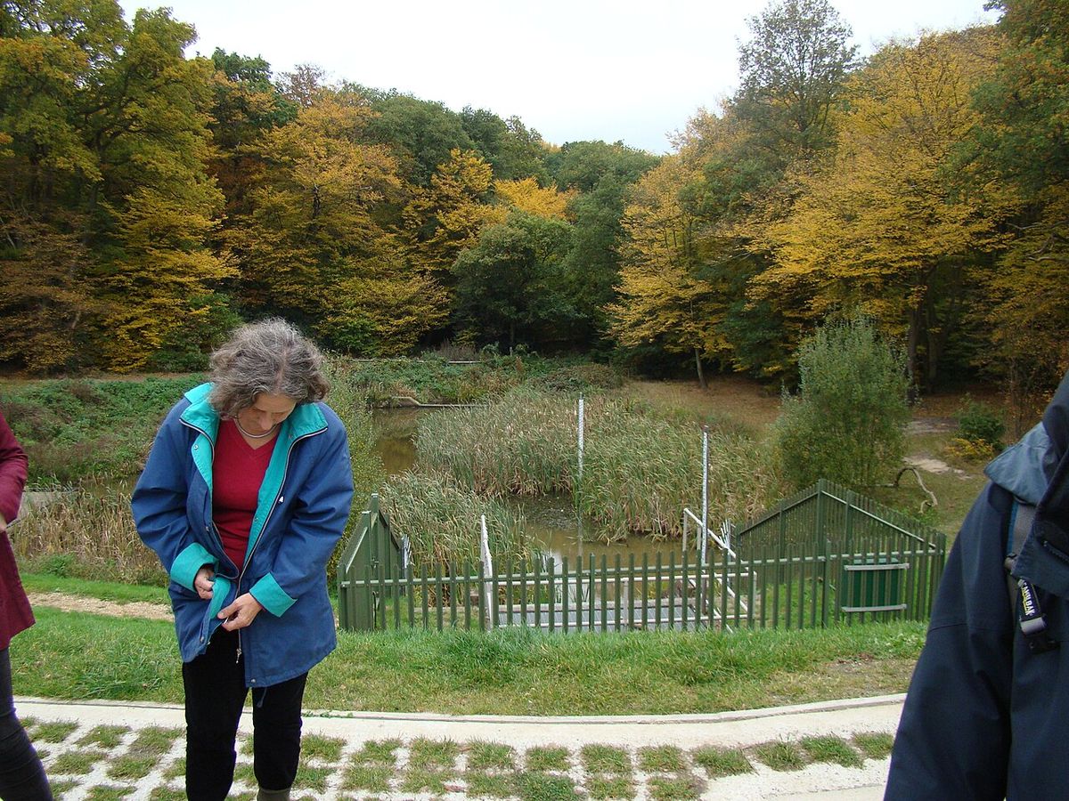 Flood defence scheme on Loughton Brook