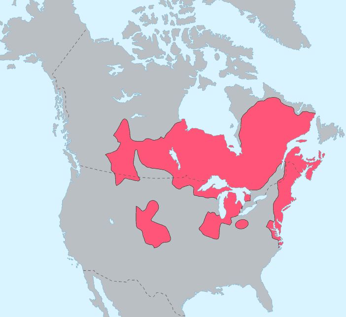 Algonquian peoples