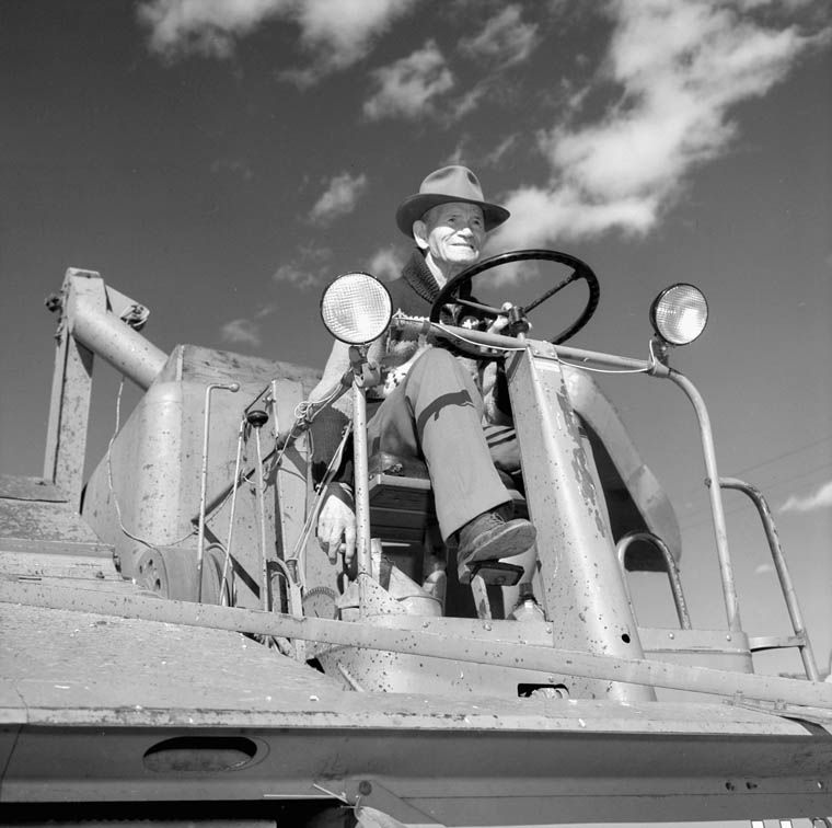 Senator James Gladstone, first Indian named to the Senate, on his combine on the Kainai (Blood) reserve north of Cardston, Alberta