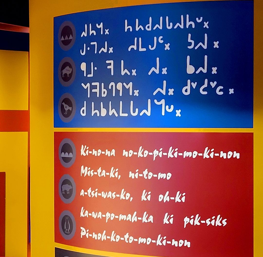 An Blackfoot Language Text with both the Syllabics and The Latin Orthography in Blackfoot Crossing Historical Park.