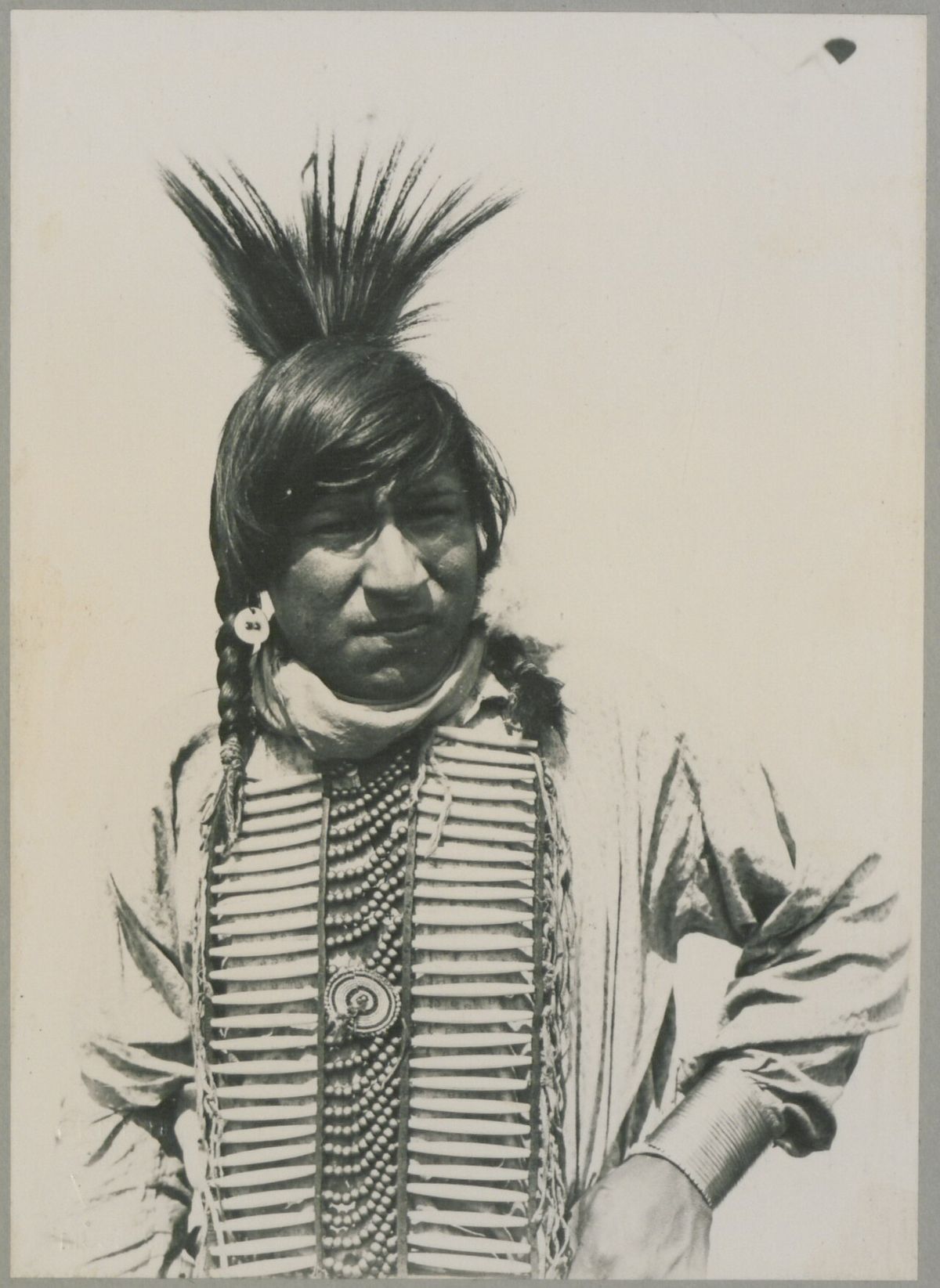 Chief King of the Wind.