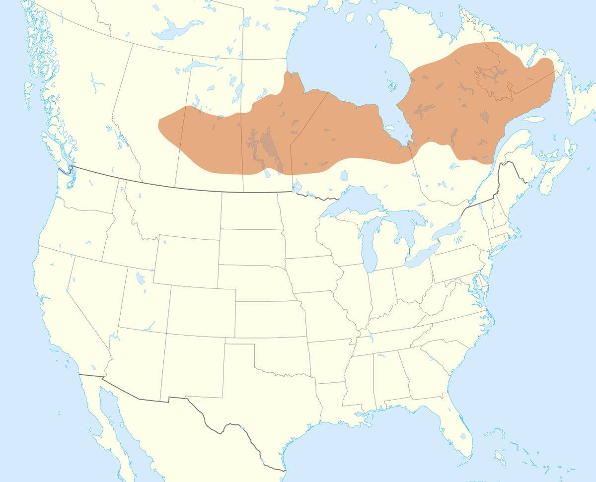 Cree language