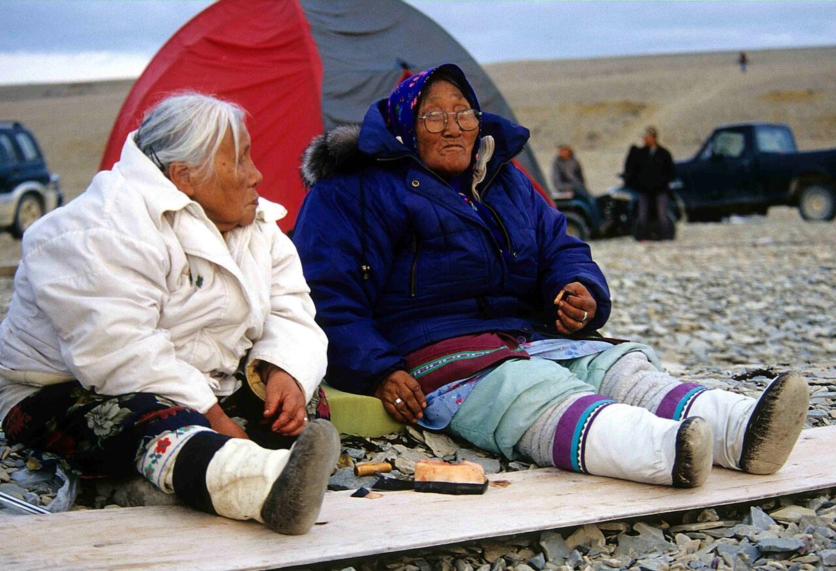 Maktaaq delicacy (bowhead whale blubber)