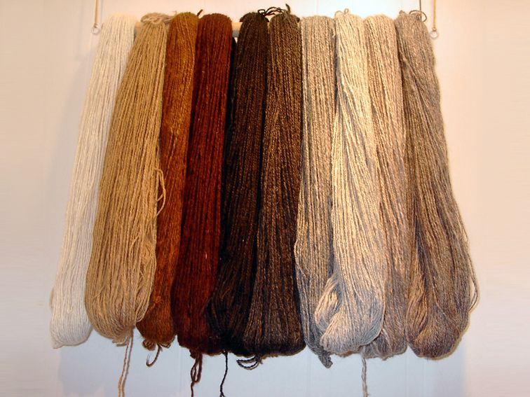 Alpaca-wool.