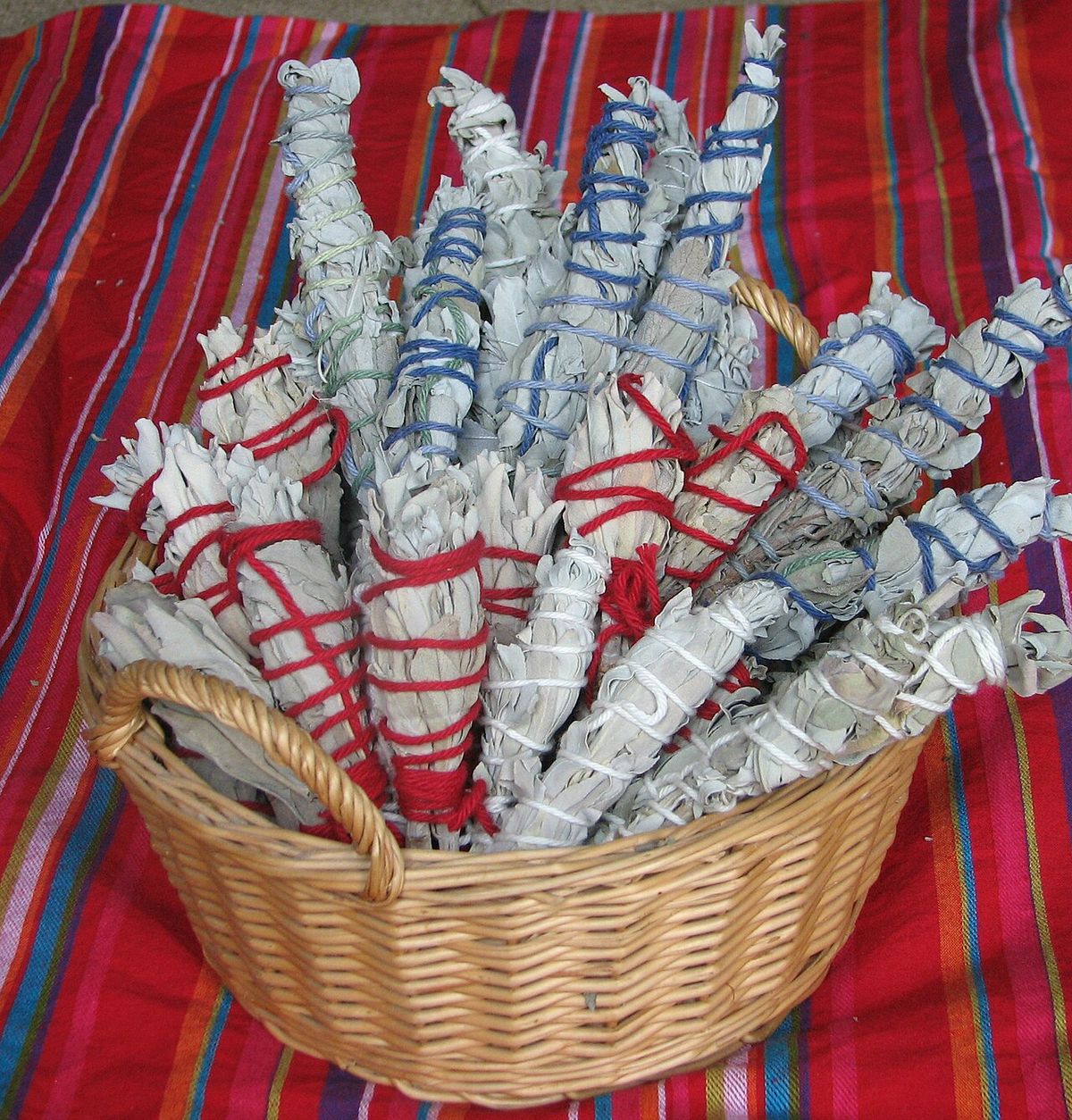 White sage is commonly used for smudge sticks