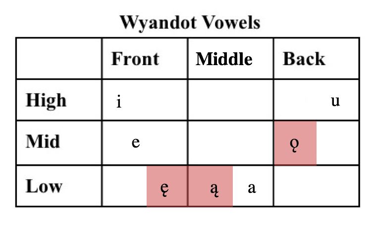 Diagram of Wyandot vowels. Nazalized vowels are in red. Information from https://www.wyandotte-nation.org/culture/language/contemporary-mate