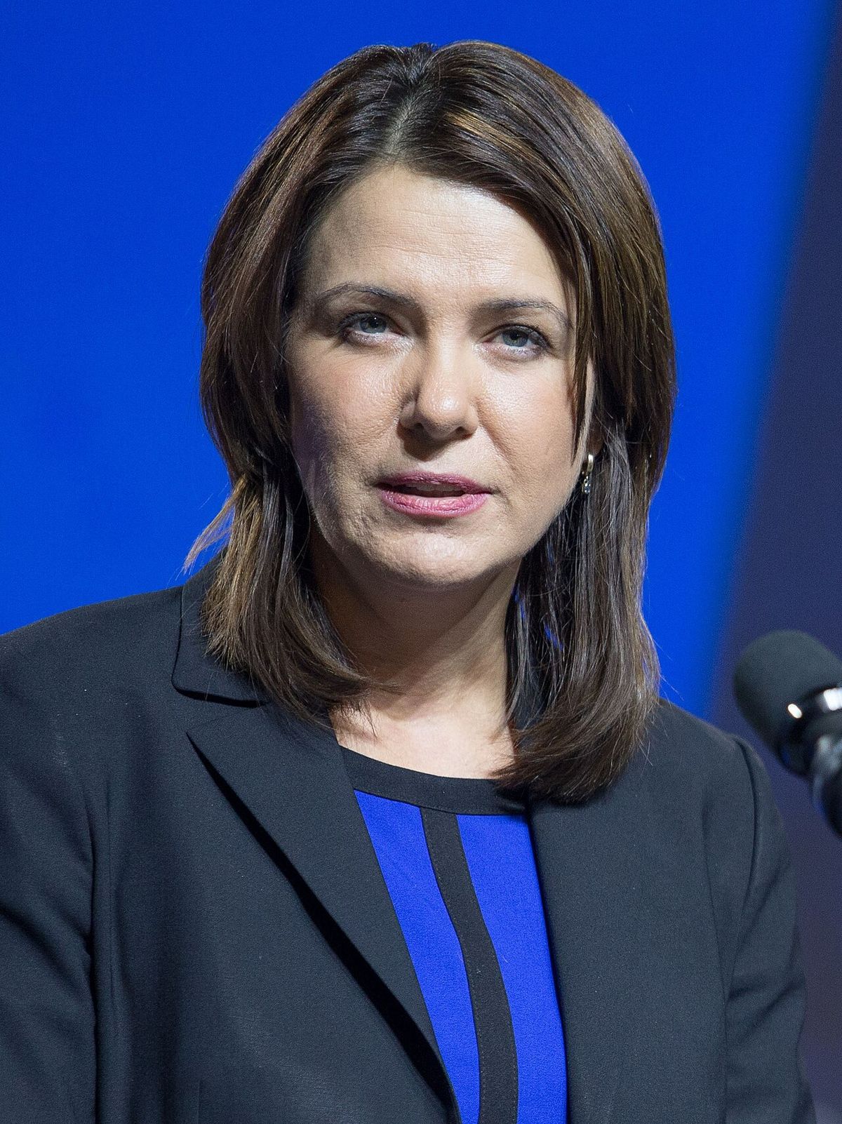 Danielle Smith. Smith entered provincial politics in 2009, becoming the leader of the Wildrose Party.