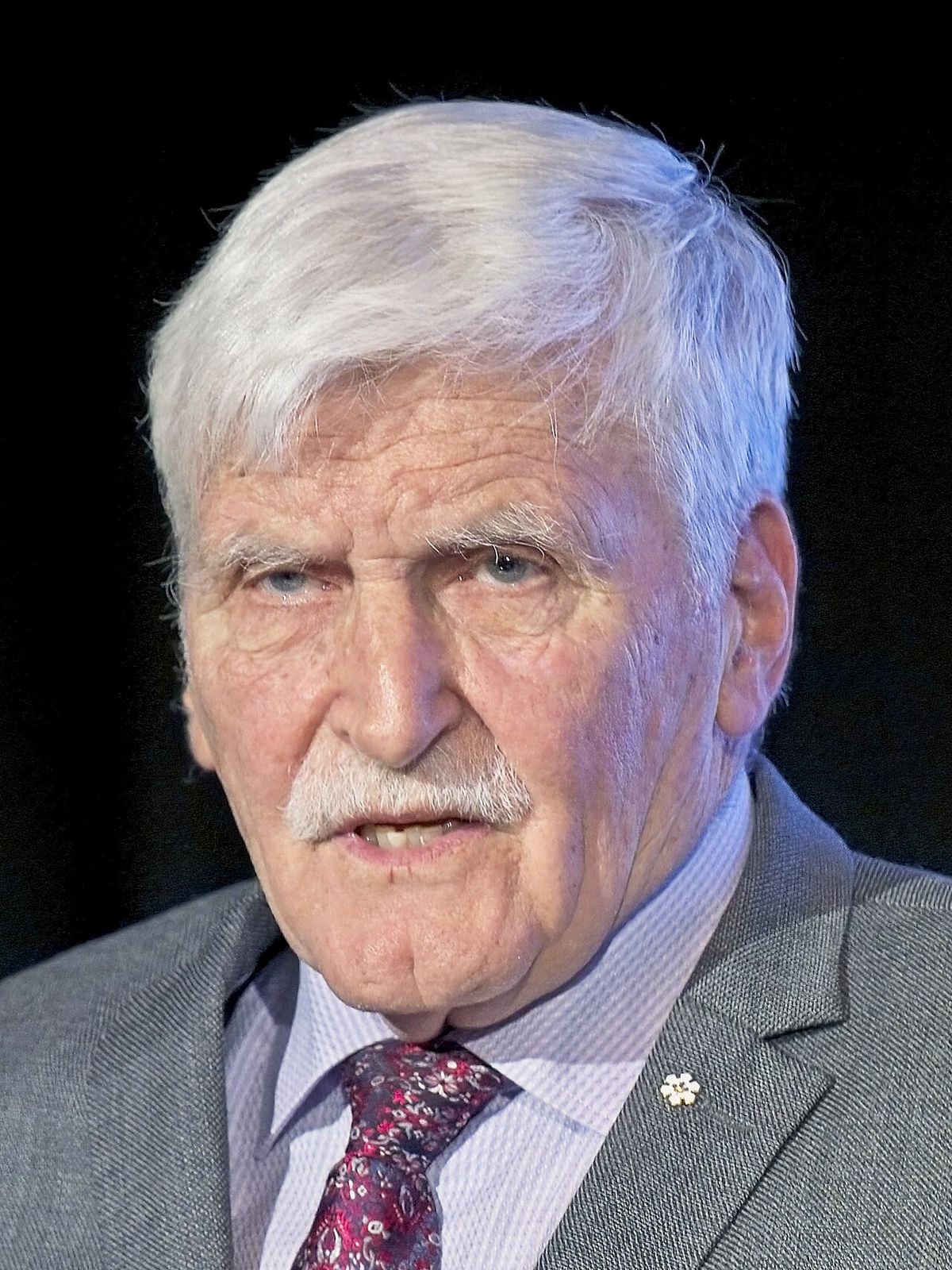 General Roméo Dallaire talking in support of Ukrainian servicemen